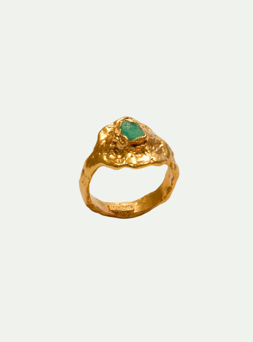 ANILLO FUJI