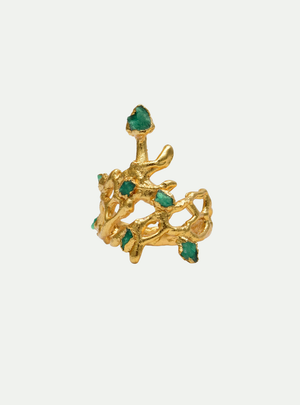 ANILLO STROMBOLI